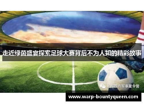 走近绿茵盛宴探索足球大赛背后不为人知的精彩故事