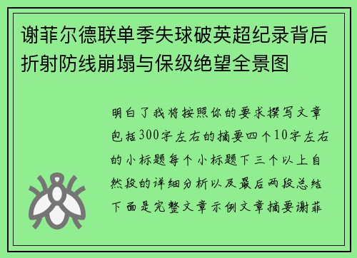 谢菲尔德联单季失球破英超纪录背后折射防线崩塌与保级绝望全景图